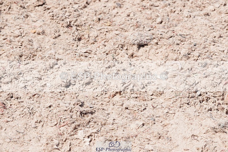 250503-134350-01165 - Cls 27 Stepping Stones