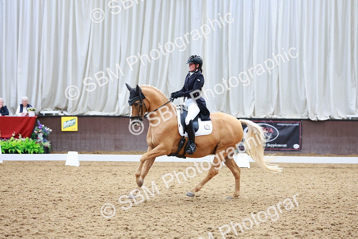 SBM_021315 - Class 25 - FEI PSG Bronze