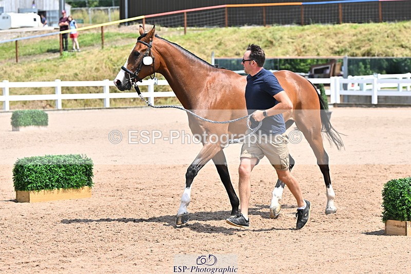 240718A-105314-01745 - Trot Up 1pm to 2pm