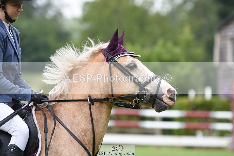 230617-094936-01678 - Cls 15 British Novice & 80cm Open