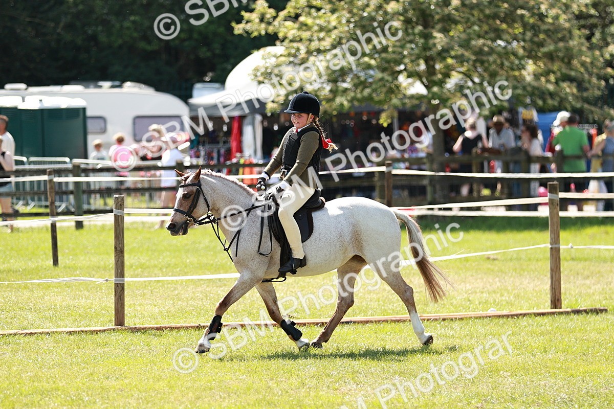 SBM_13622 - Class 108-109 - BSPS LIHS Open Gradle & Nursery Stakes