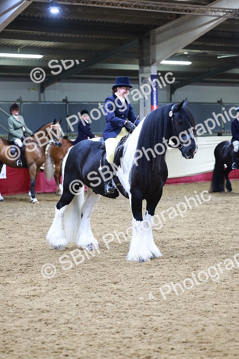 SBM_23562 - class 906 - Supreme Final - Ridden Pre Vet