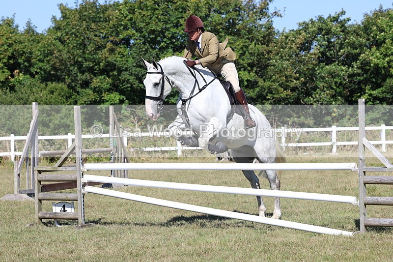 3E7A5846 - Class 5: Working Hunter 90cm