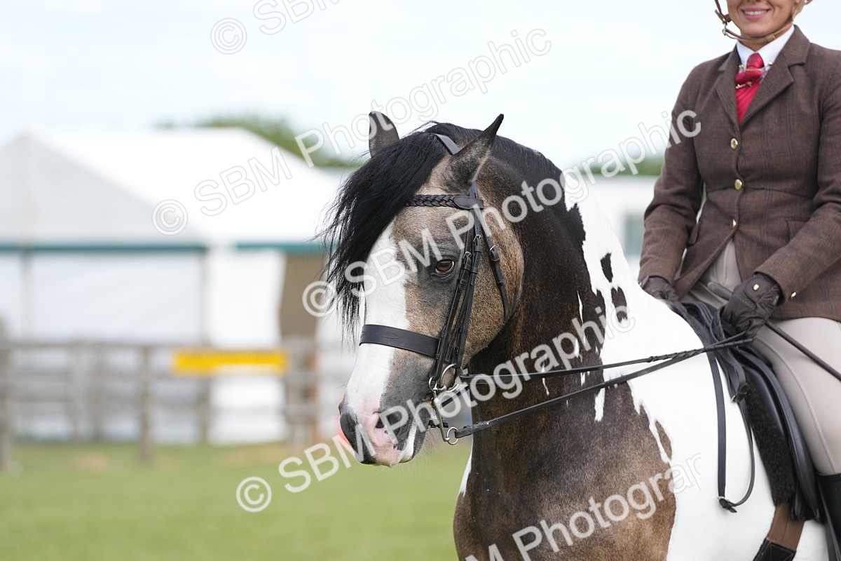 SBM_17212 - Class 107-108 - LIHS BSPS Performance Coloured Horse Pony