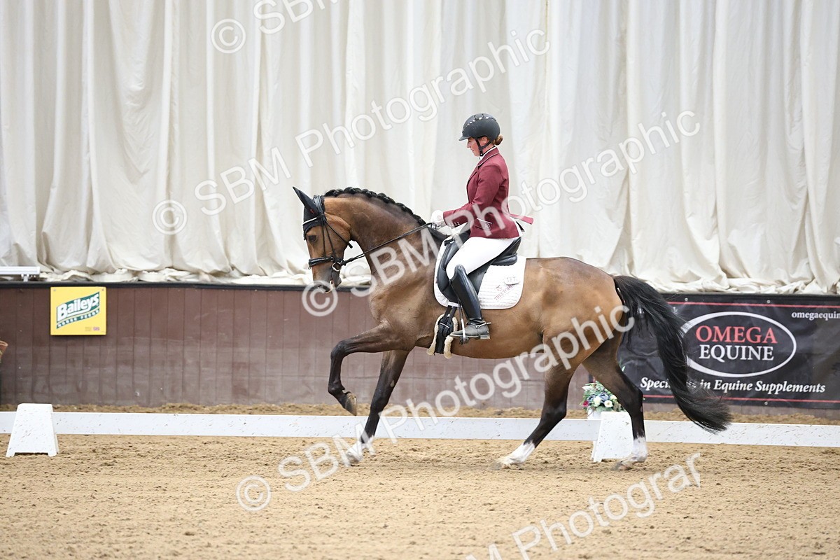SBM_002172 - Class 5 - Novice 6 Gold - 9.00-10.10
