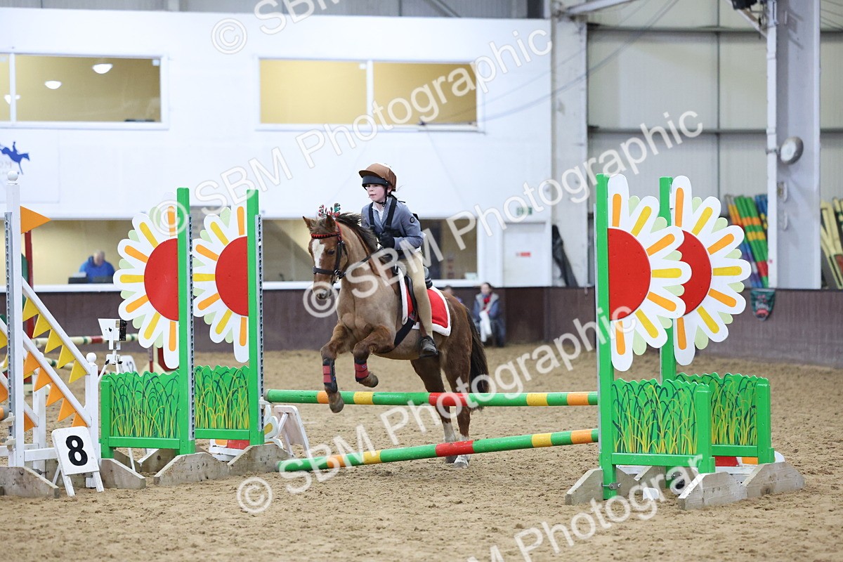 SBM_001096 - Class 3 - Christmas Tree Stakes - 60cm