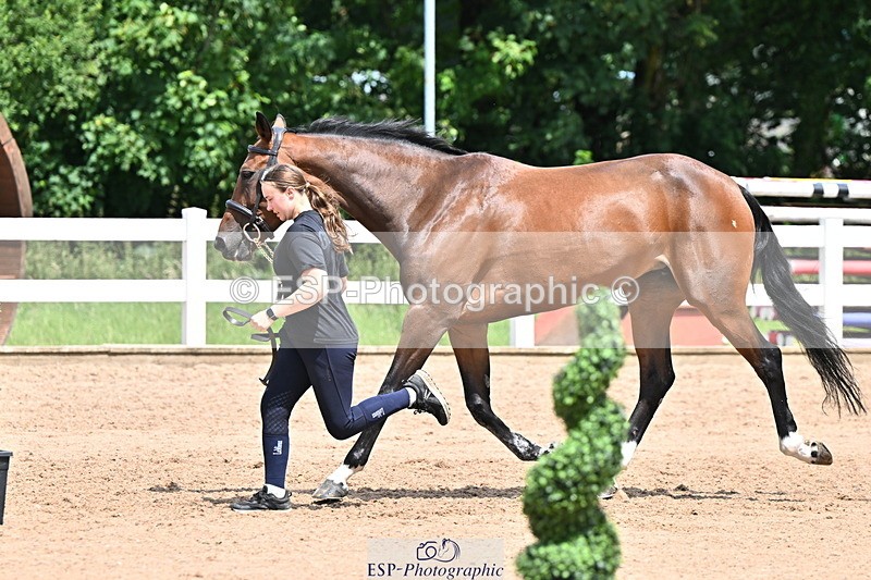 240718A-105306-01573 - Trot Up 1pm to 2pm