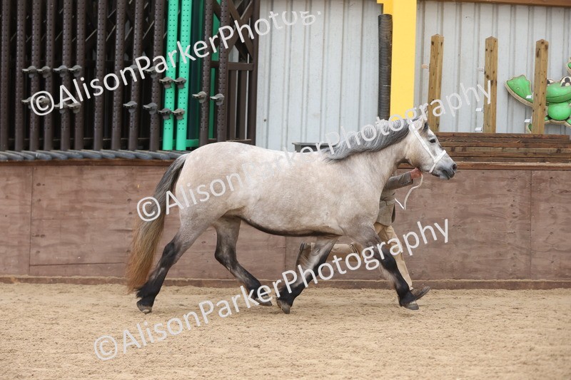 20251109-0884 - Class 26 - 2 and 4 Year Olds