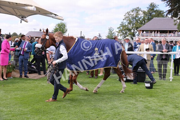 yr17082022r2-45 - Race 2 2.25pm Tattersalls Acomb Stakes