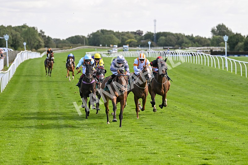 100924-Race 3-Laudable-0163 - Race 3