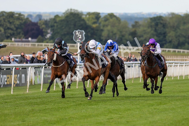 180624-Race 4-Distinction-8021 - Race 4