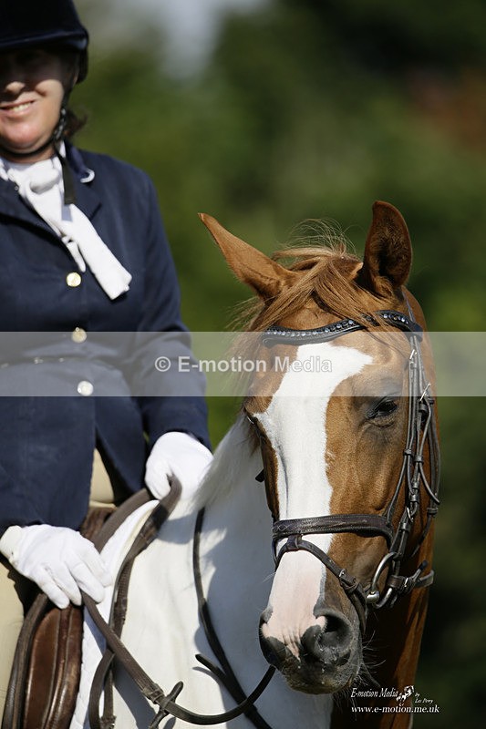 BVRC 120921 185 - Bourne Valley Riding Club UA Dressage & Show Jumping 12/09/21