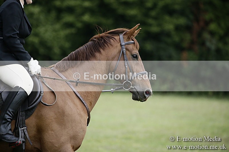 BVR090918 14 - BVRC Dressage and Show Jumping 09/09/18