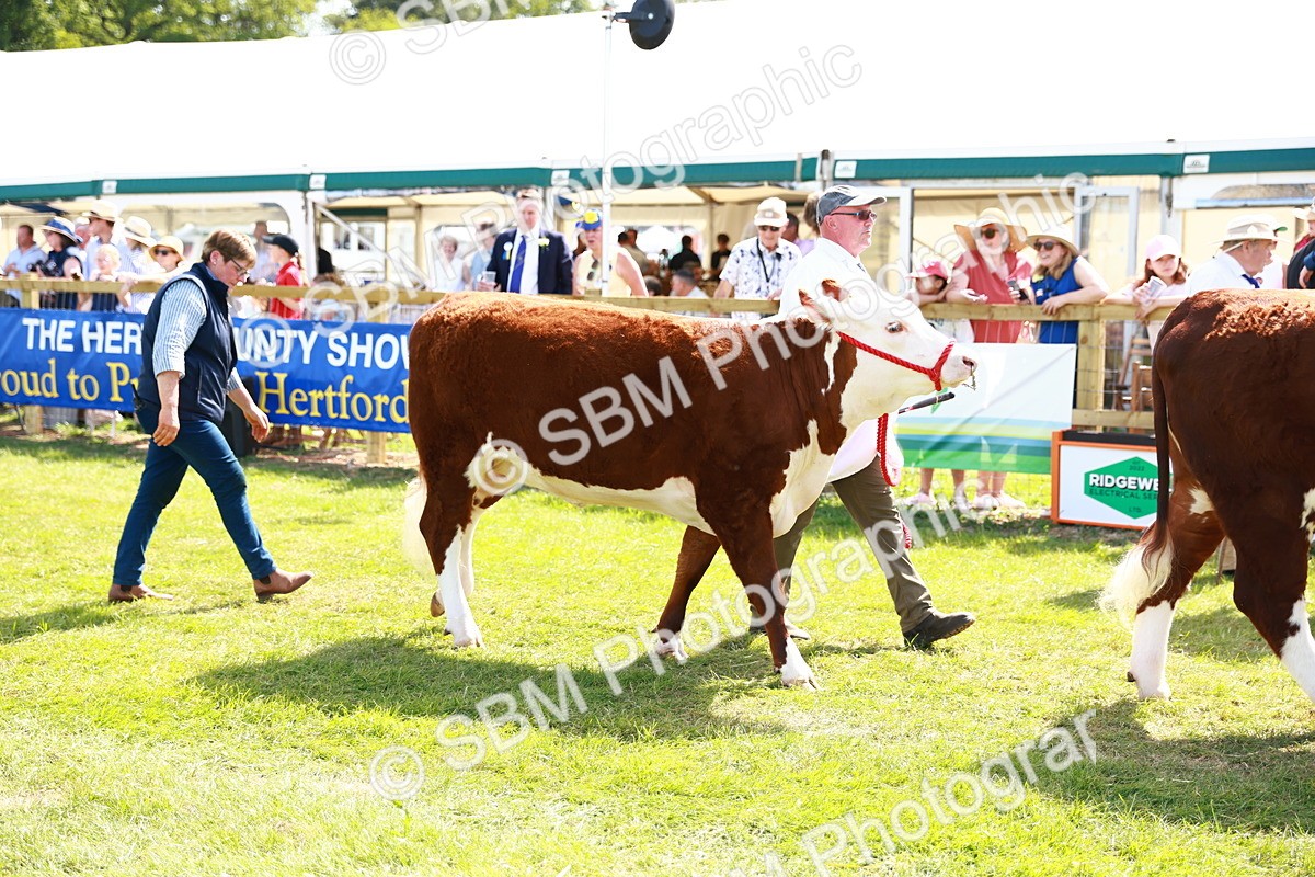 SBM_08453 - Grand Parade