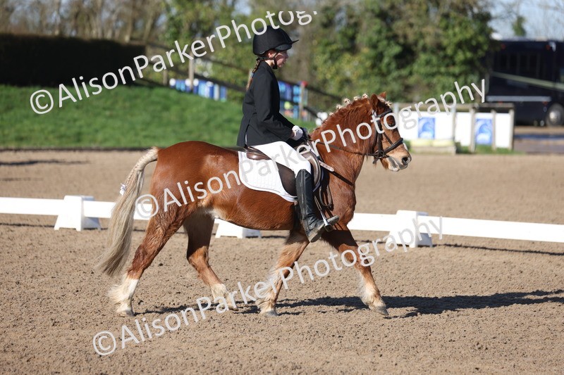 20260214-0276 - Class 3 - Prelim 2