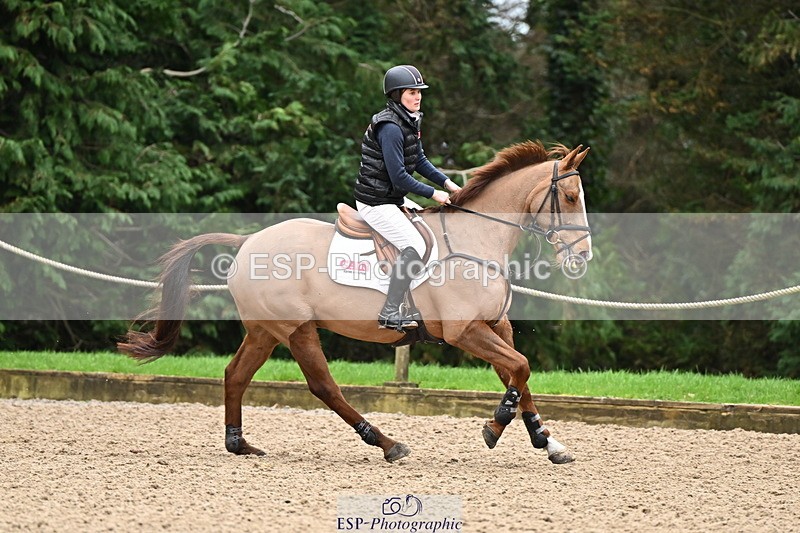 250201A-121508-00627 - Cls 02 Local Horse 100cm