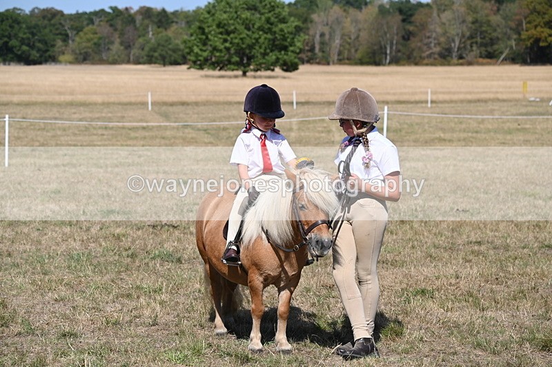 WJ6_9510 - Class 40 Cheekiest Pony/Horse