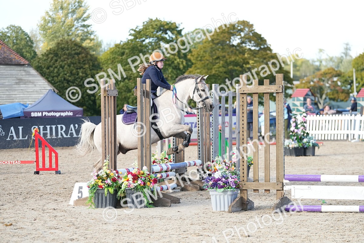 SBM_29148 - J43 - Horse & Hound Open 50cm