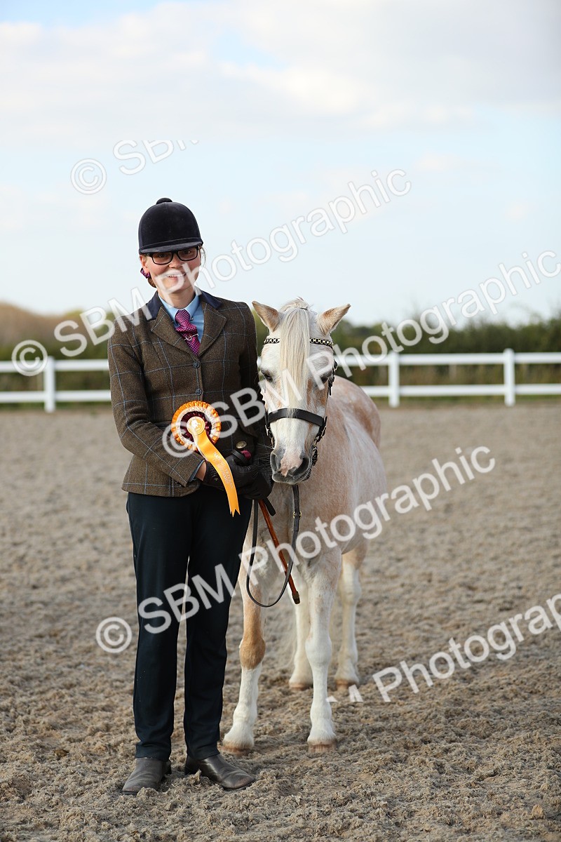 SBM_09096 - Class 29 IH Veteran Pony