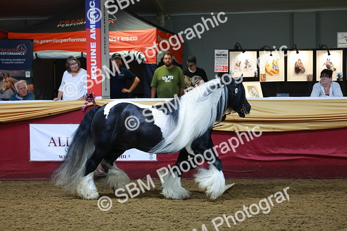 SBM_14898 - Class L - Coloured Champ