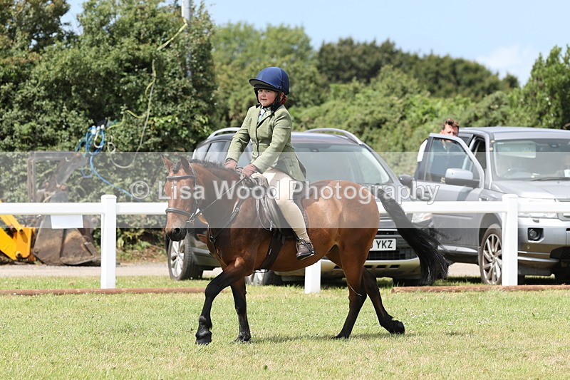 JPP_1946 - Class 18: Tiny Tots Working Hunter Pony