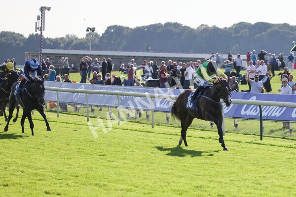 yr08102021r2-12 - Race 2 2.40pm Racing to School EBF Novice Stakes