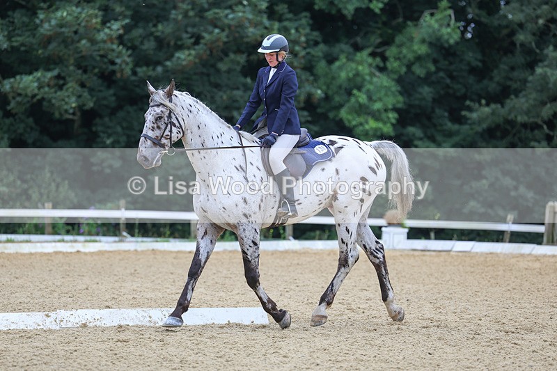 3E7A4949 - Class 1: Intro 4 2024 section A