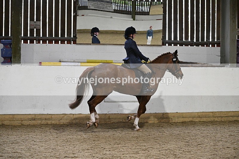 WJ7_3850 - Class 17 Ridden Cob