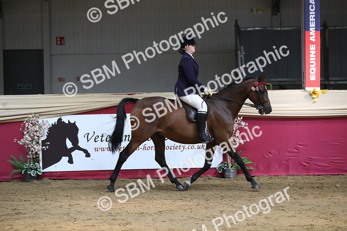 SBM_08292 - Class 11R Regional Ridden Veteran