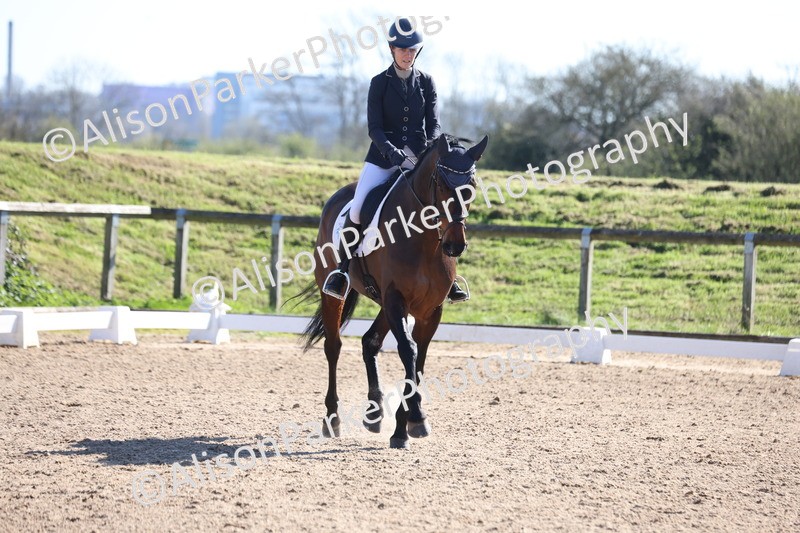 20260318-0554 - Class 5 - Novice 2