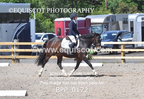 BPP_0172 - SHORT ARENA  MY QUEST PRELIM