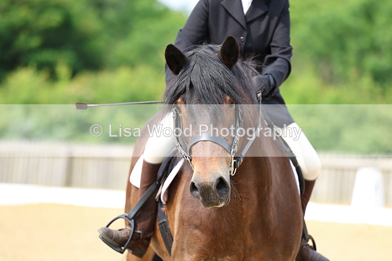 3E7A9080 - Class 2: Intro 1 2024 Section B