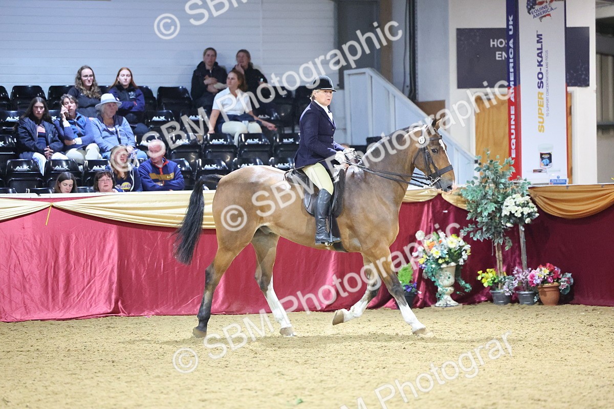 0B8A4477 - Class O Ridden Show Horse Champ