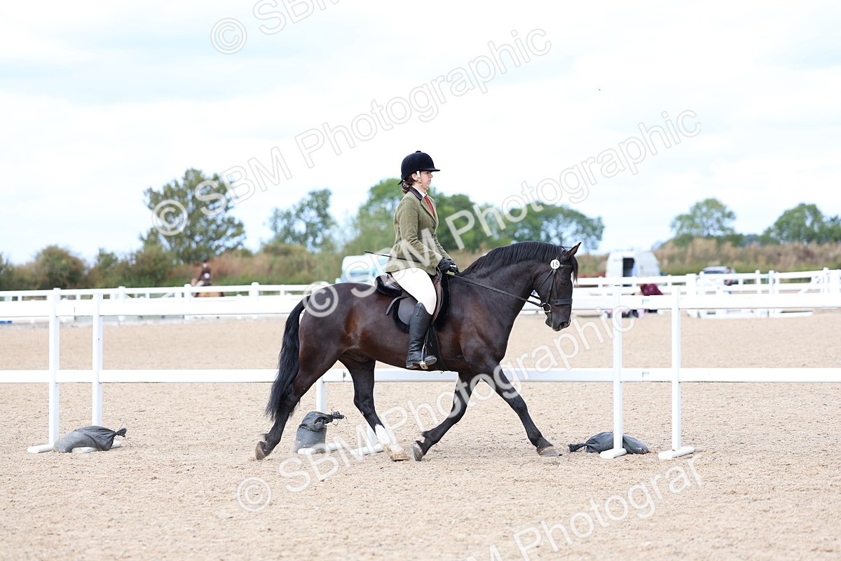 SBM_15768 - Class 314 - Family Horse - Pony