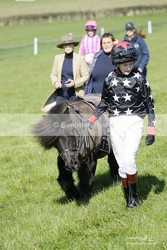 PtP 190322 65 - Wilton Hunt PtP Milborne St Andrew 19/03/22