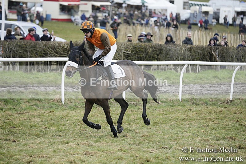 PtP 020418 -421 - Old Berks Point-to-Point Races Easter Monday 02/04/18