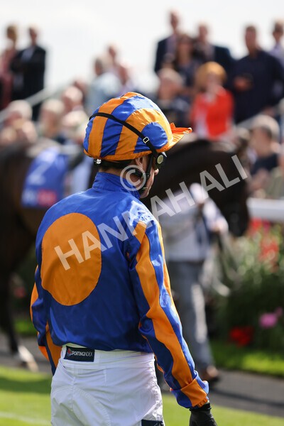 yr18082021r3-18 - Race 3 3.00pm Sky Bet Great Voltigeur Stakes