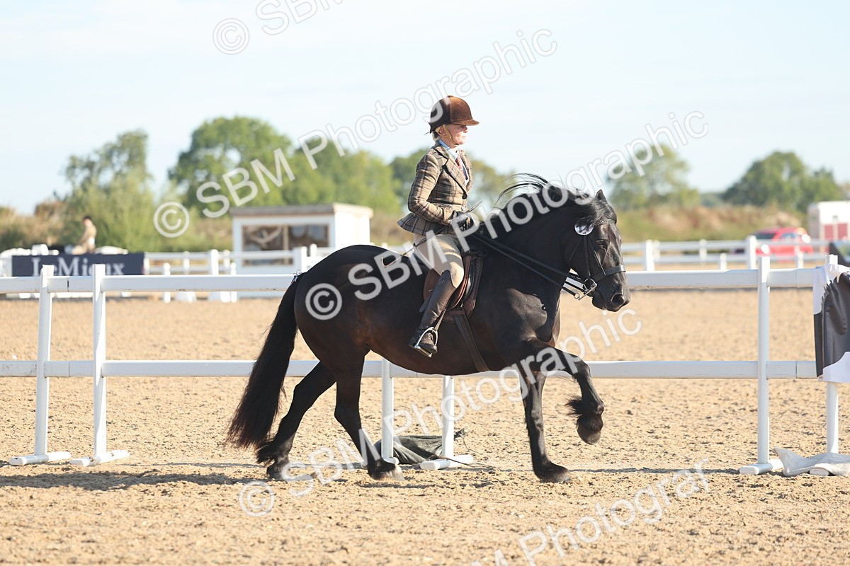 SBM_11001 - Class 302 - Ridden M&M Large Breeds