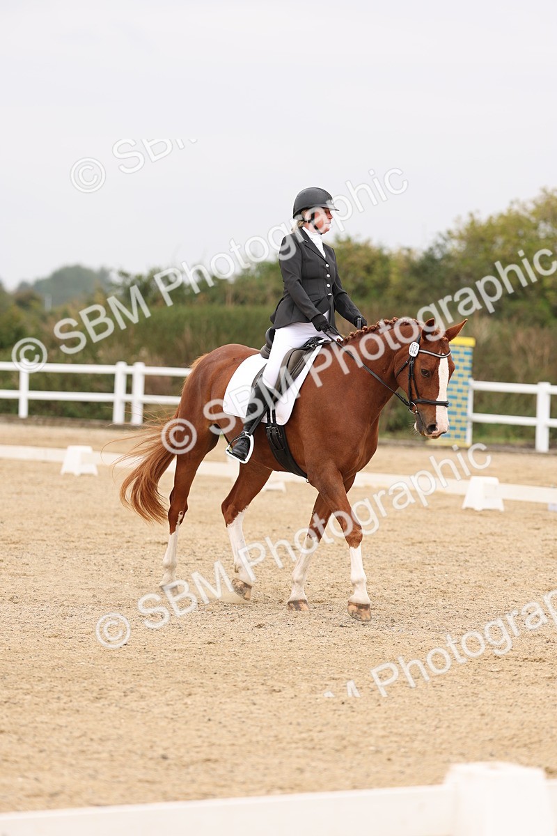 SBM_01440 - Class 9 - Novice 27 Champs