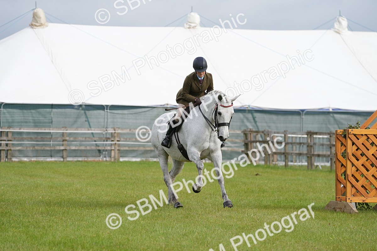 SBM_10601 - Class 97-98 - LIHS BSHA Rising Star Working Show Horse Hunter