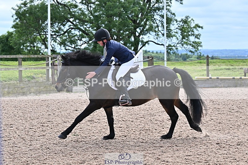 250610A-171031-00371 - 80cm