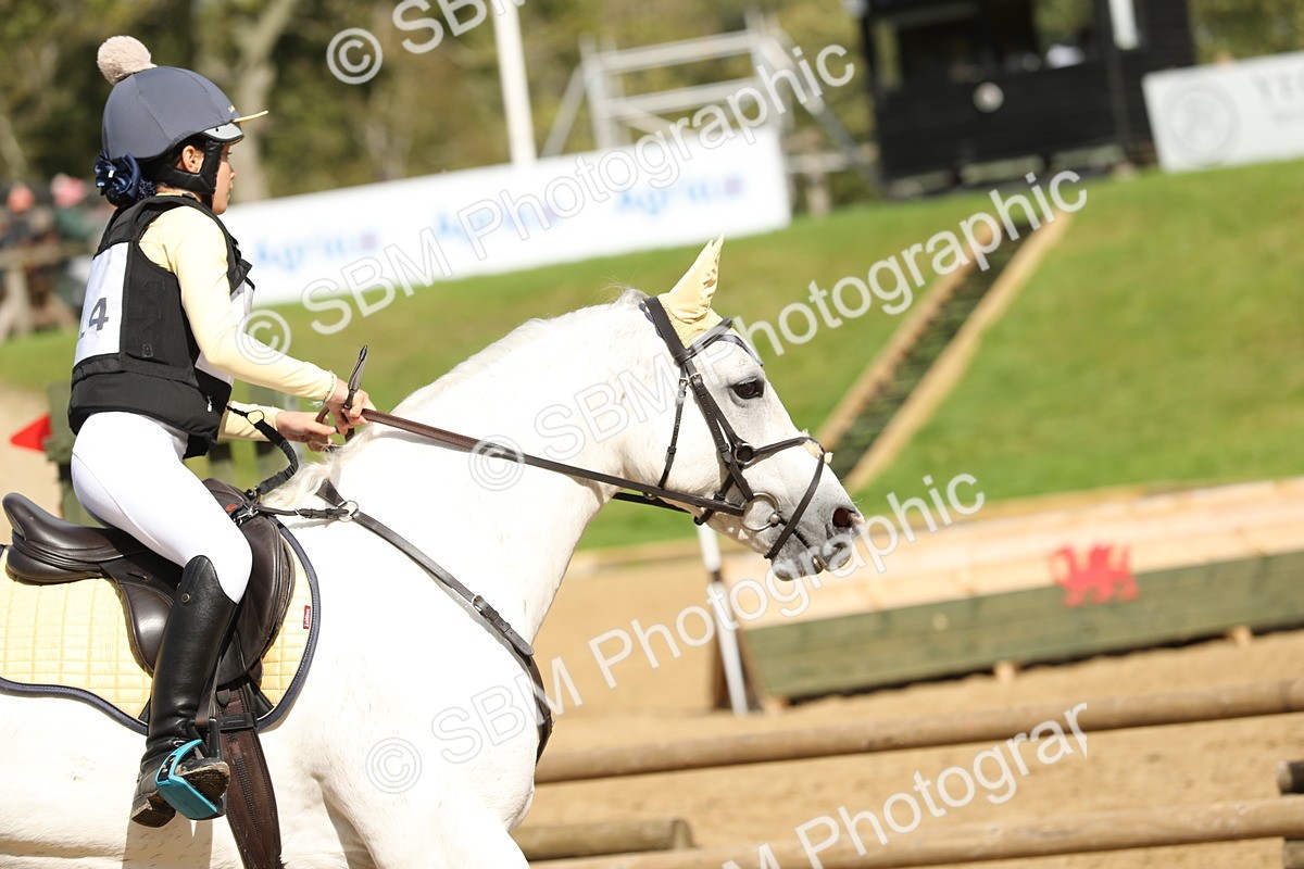 SBM_23185_E9 - Eventers Challenge 60cm Challenge - Paula Gray