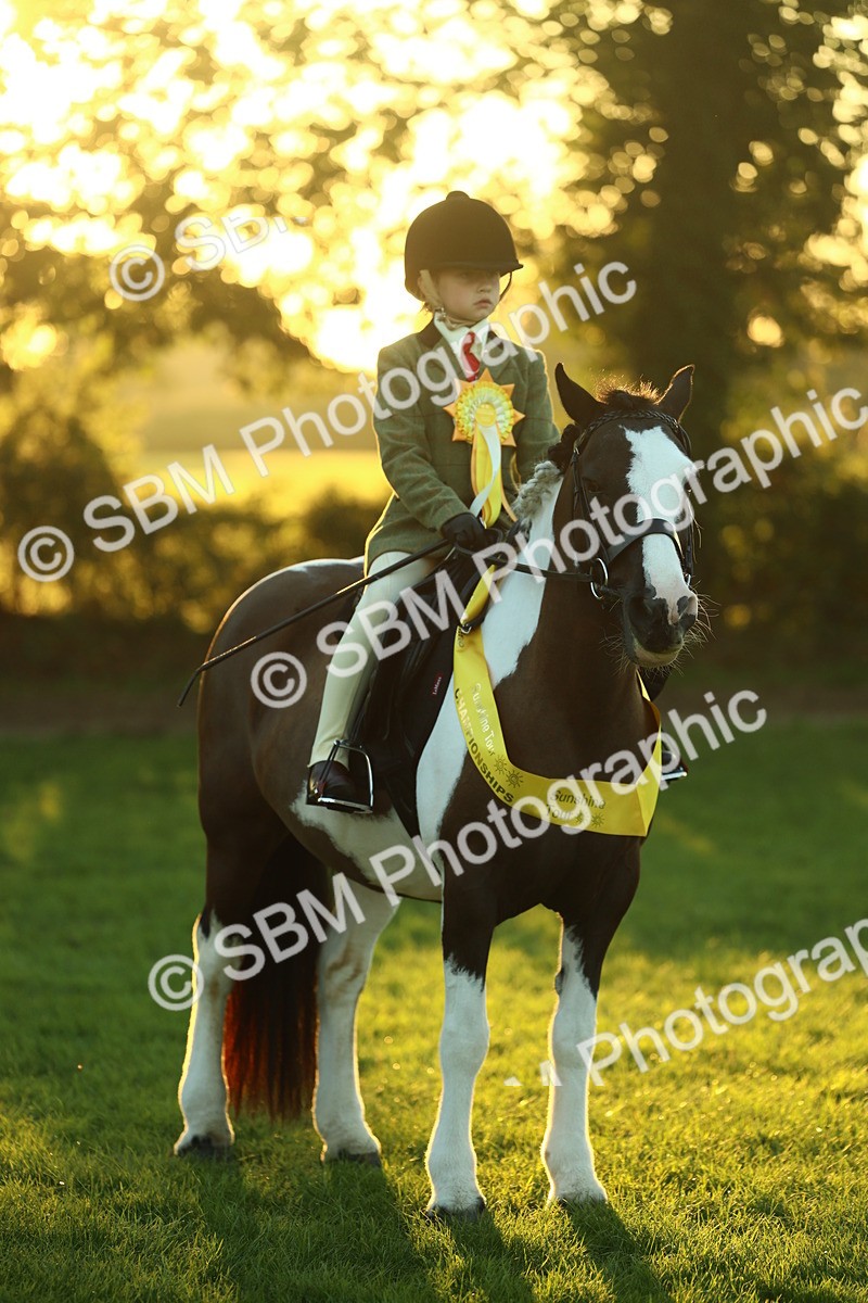 SBM_56622 - Fun & Versatile Supreme Championship