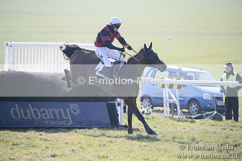 PtP 240218 46 - Vine & Craven Hunt Point-to-Point Barbury racecourse 24/02/18