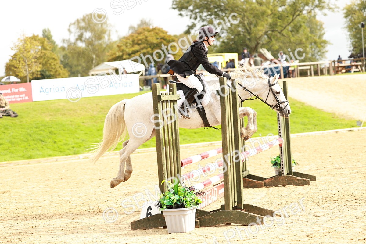 SBM_38388 - Supreme Championship 80cm 85cm