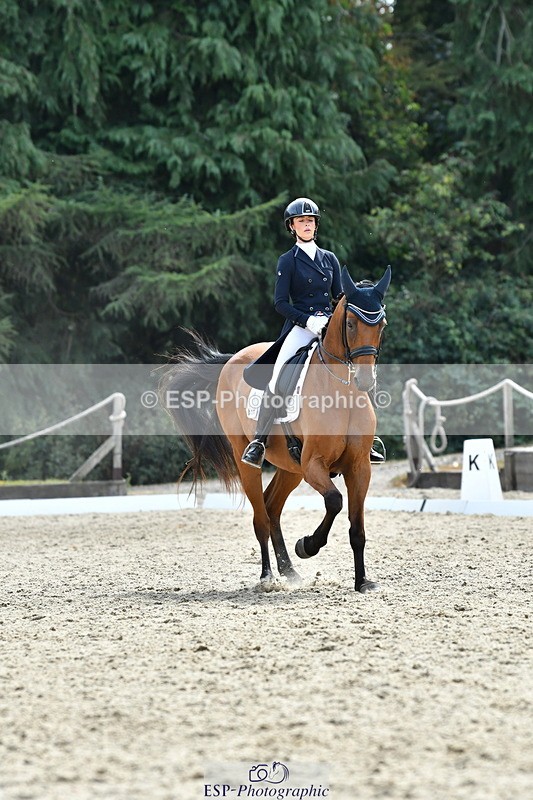 260802A-153025-07422 - Intermediate Bronze