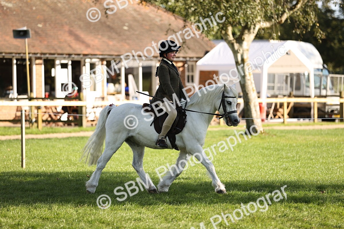 SBM_29346 - S7 - Novice & Newcomers Ridden Pony
