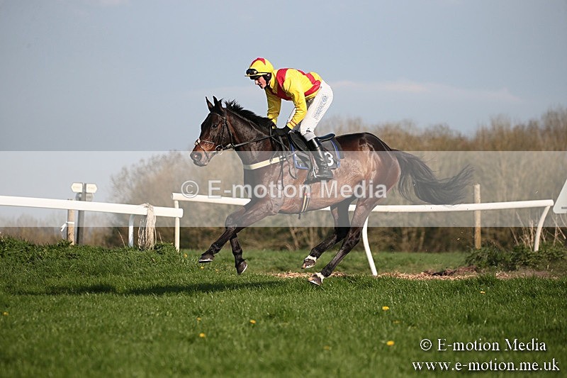 PtP 210418 548 - South & West Wilts Point-to-Point Larkhill 21/04/18