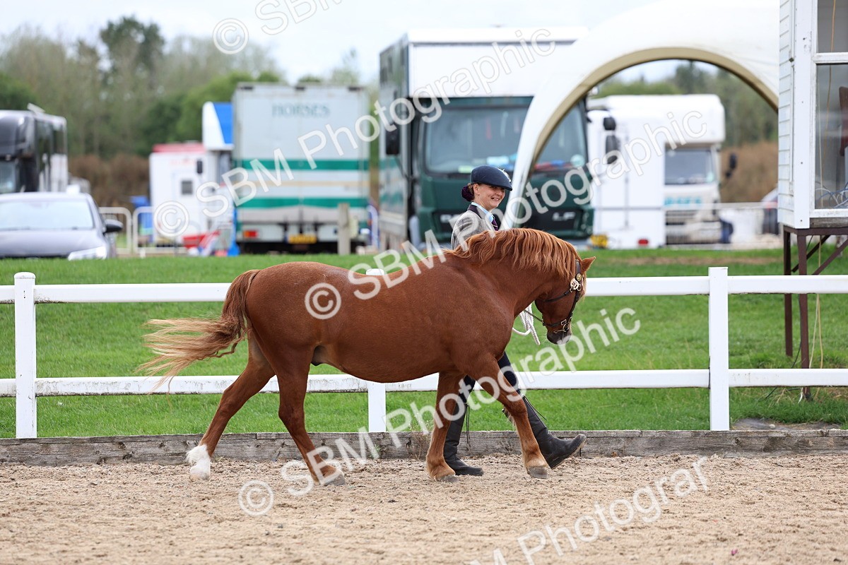 SBM_05806 - Class 29 - IH Veteran Pony
