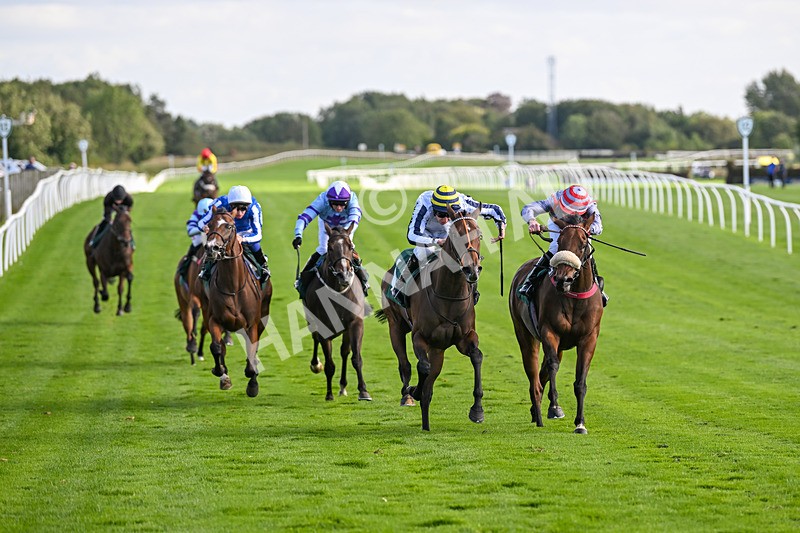 100924-Race 4-Scarboroughwarning-0332 - Race 4